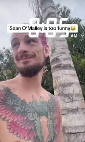 Sean O Connell Funny