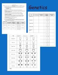 Genetics Create Your Own Child Biology Classroom Biology Lessons Genetics Activities
