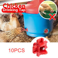 It can also be lots of fun. 10pcs Automatic Quail Drinker Chicken Waterer Bowl With Yellow Nipple Farm Poultry Drinking Water System Feeding Watering Supplies Aliexpress