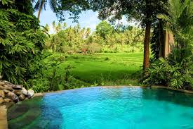 Stunning Villa Amazing View Best Service Villas For Rent In Ubud Bali Indonesia Ubud Bali Villa