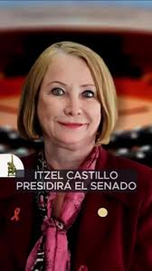 Laura Itzel Castillo: Nueva Presidenta del Senado Mexicano