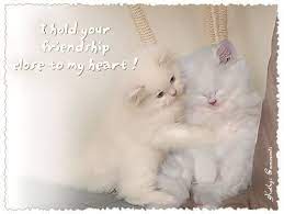 Oct 24, 2017 · searching for a famous love quote or author? I Hold Your Friendship Close To My Heart Quote Cat Friend Friendship Quote Kitty Friend Quote Cute Cats And Dogs I Love My Friends Animal Quotes