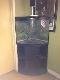 40 Gallon Odyssea Bow Front Glass Aquarium Fish Tank With Stand Corner Fish Tank Stand Fish Tank Glass Aquarium