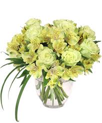 Maybe you would like to learn more about one of these? Trussville Florist Trussville Al Flower Shop Shirley S Florist And Events