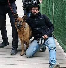 Trouvez les annonces près de chez vous. Garde Et Promenade De Votre Chien Annonce 4549754 Petitesannonces Ch