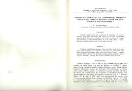 Image result for Queenslandiella