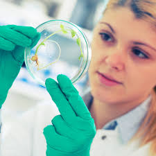 Faculty RISE Archives