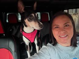 What are the pros and cons of owning a Decker terrier?