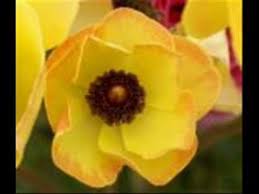 I Will Always Love You Panflute Youtube Pan Flute Saddest Songs Flute Music