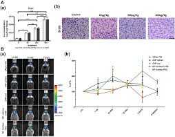 The treatment for arthritis using gold may be resumed, if the side. The Influence Of Size And Chemical Composition Of Silver And Gold Nano Ijn