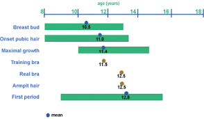 First Menstruation Average Age And Physical Signs