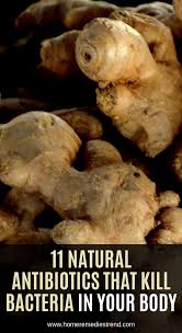 11 Natural Antibiotics That Kill Bacteria In Your Body Natural Antibiotics Truvision Health Lime Health Benefits