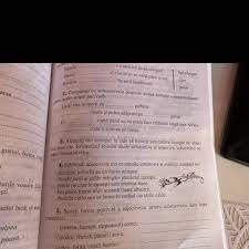 Un băiat îmbrăcat în pijamale în dungi (shmuel). Enigma Otiliei Rezumat Brainly
