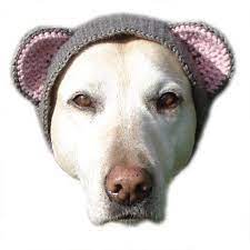 Crochet Pattern Pet Hat Costume Pdf Instant Download Etsy In 2021 Bear Hat Pattern Crochet Dog Hat Pets