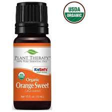 5 Best Essential Oils For Studying 2021 Review