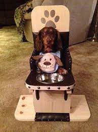 canine megaesophagus canine mega esophagus bailey chair for dogs dog chair bailey chairs