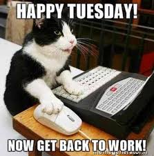 We did not find results for: 95 Funny Tuesday Memes And Pun Quotes With Images Littlenivi Com