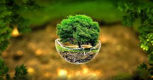 3d Wallpapers Create Your Pc Look More Attractive And Pleasing It S Possible For You To Download Your B Hd Nature Wallpapers Nature Images Hd Nature Wallpaper