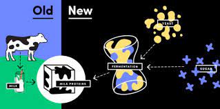Biore kao uv perfect milk sunscreen water spf50+ pa++++ 40ml japan. How Now No Cow Animal Free Dairy Startup Perfectday Raises 24 7m
