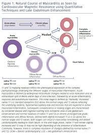 Myocarditis is an inflammation of the heart muscle (myocardium). Advances In Cardiovascular Mri Using Quantitative Tissue Characterisation Techniques Focus On Myocarditis Ecr Journal