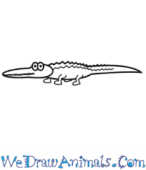 More images for how to draw an alligator for kids » How To Draw A Simple Alligator For Kids