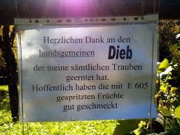 Skurrile Schilder Brems Wenn Du Kannst Lustige Schilder Herzlichen Dank Montezuma