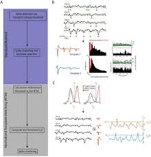 World cup, copa, uefa, fifa, olympics, european soccer league, formula 1, nascar. A Normalized Template Matching Method For Improving Spike Detection In Extracellular Voltage Recordings Biorxiv