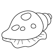 Shell coloring page to download and coloring. Shell 163193 Nature Printable Coloring Pages