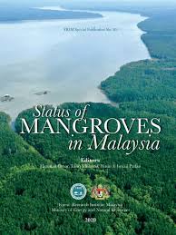 Mangrove forest in loxahatchee, florida. Pdf Status Of Mangroves In Malaysia
