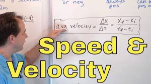 S×ts×t say you want to find the average speed of a pacific bottlenose porpoise. 11 What Is Definition Of Average Speed Velocity In Physics Speed Formula Velocity Formula Youtube