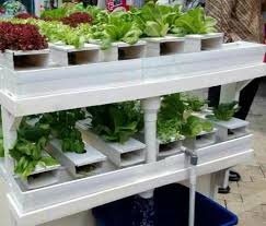 Learn more about this here. Download Hydroponics Design Ideas Free For Android Hydroponics Design Ideas Apk Download Steprimo Com