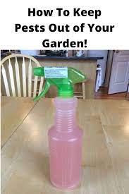 Keep Pests And Weeds Out Of Your Garden Garden Spray Pests Kill Weeds