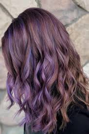 61 Charming And Chic Options For Brown Hair With Highlights Purple Highlights Brown Hair Brown Hair With Highlights And Lowlights Purple Brown Hair