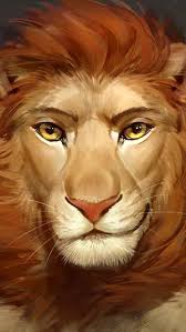 Panthera Leo Leo Lion Face Wallpaper