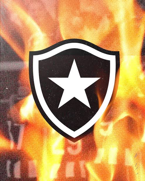 Botafogo vence o São Paulo por 2x1 no Engenhão