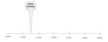 Collisions from these icy bodies likely deposited much of the earth's water on its surface. The Birth Of Earth Video Questions Diagram Quizlet