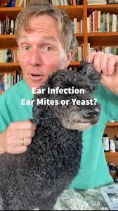 Annette Beebe (annettebeebe)