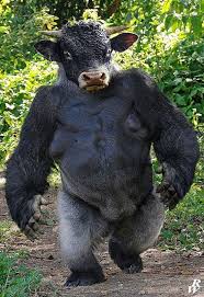 20 Times Animals Turned Into Strange Hybrid Creatures In Photoshop Bemethis Photoshopped Animals Animal Mashups Fake Animals