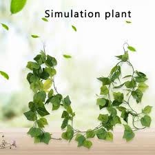 The flower, called a western false asphodel, was first documented in 1879, but scientists had no idea the plant consumed meat until now. Buy Artificial Ivy Green Leaf Garland Plants Vine Fake Foliage Flowers Home Decor Icoco Best Seller At Affordable Prices Free Shipping Real Reviews With Photos Joom