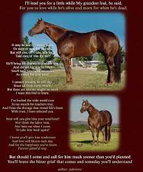 Pin On Horses