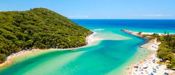 Image result for Queenslandiella