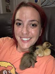 I found this little duckling in my window well. Anyone know what to do with  it?