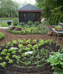 Brush Up On Your Gardening Skills With These Free Online Classes In 2020 Victory Garden Vegetable Garden Design Growing Plants
