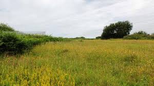 See tripadvisor's 3,438 traveller reviews and photos of heysham tourist attractions. Heysham Nature Reserve The Wildlife Trust For Lancashire Manchester And North Merseyside