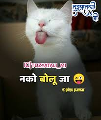 Pin On Samru