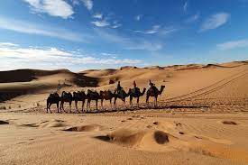 We specialize in organizing morocco desert trips from marrakech, morocco sahara desert tours from casablanca including camel trekking in the zagora sahara desert and the merzouga sand dunes. 3 Days Tour From Marrakech To Fes Via Desert Marrakech Tour To Desert
