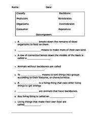 Vertebrates And Invertebrates Quiz Vertebrates And Invertebrates Vertebrates Science Questions