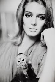 Norman Parkinson (British, 1913-1990) 'Marle with a Monkey', 1962 (together  with three other fashion studies by the same hand, and a fashion photograph  by Will Maywald (5))