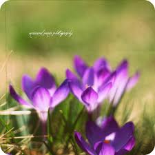 Check spelling or type a new query. Elevation Of S Township Blvd Pittston Pa Usa Topographic Map Altitude Map