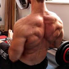 Votre médecin vous a dit : Exercice Haltere Dorsaux Les Exercices De Musculation A Faire